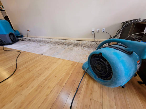 Professional Water Removal technician working in Lucasville, OH